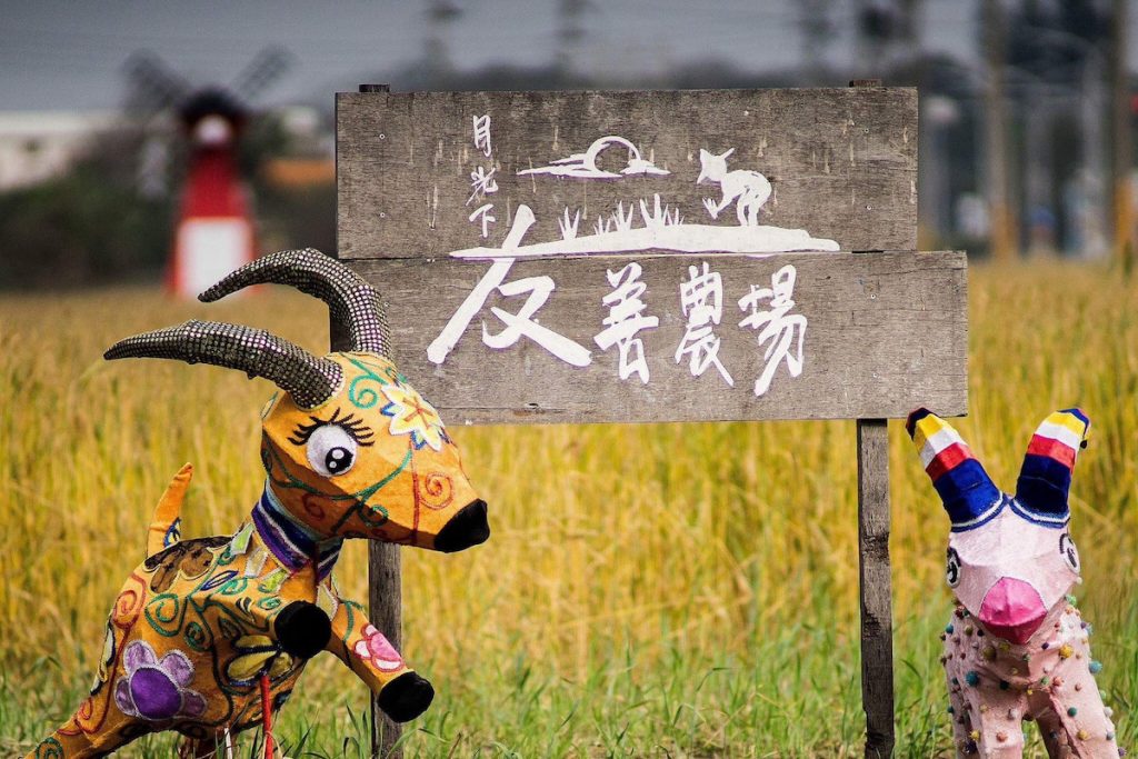 郭慧蟬與先生創辦「月光下友善農場」品牌。