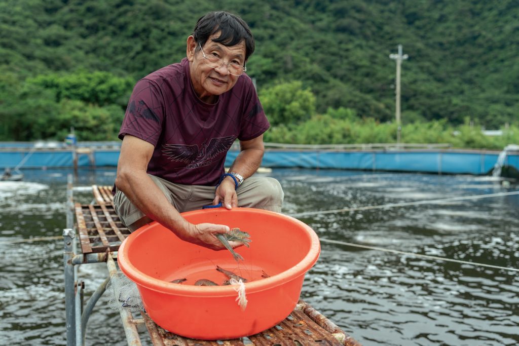 林文士採用黑潮引流並搭配益生菌進行水質管理，採取不噴藥的養殖方式，使白蝦可養至約15.5公分以上的規格。