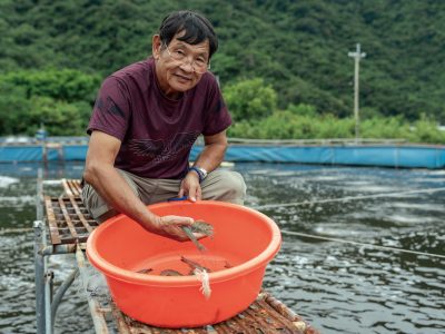 林文士採用黑潮引流並搭配益生菌進行水質管理，採取不噴藥的養殖方式，使白蝦可養至約15.5公分以上的規格。