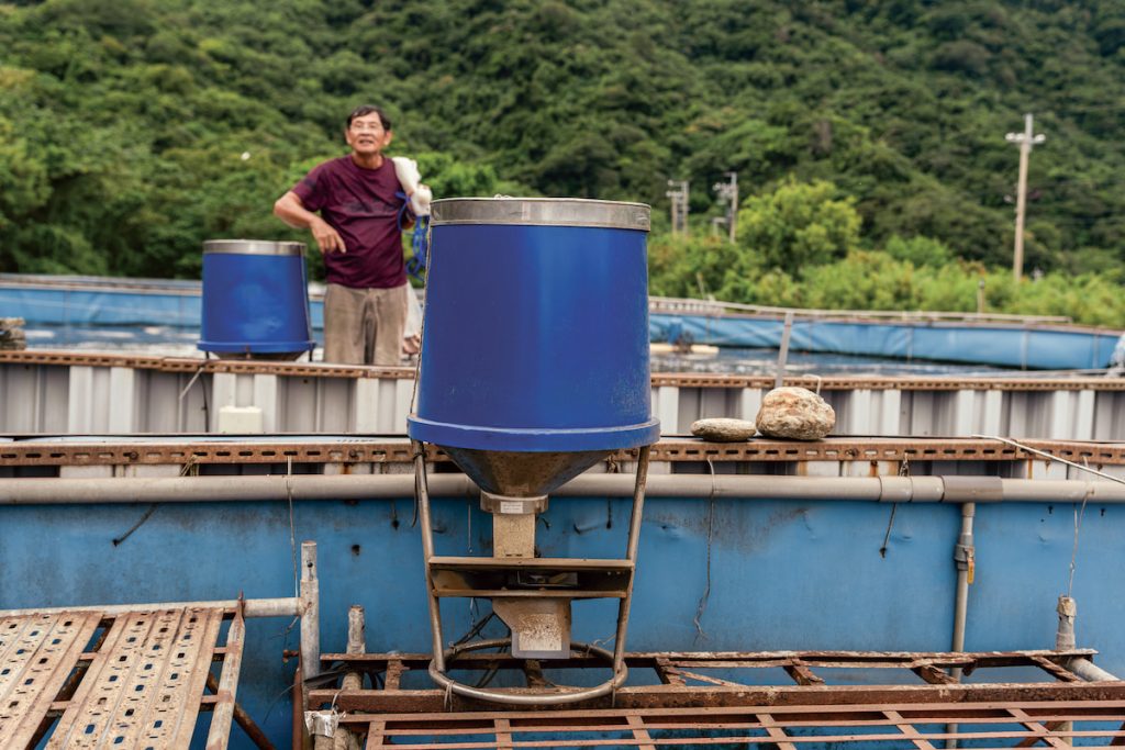 自動飼料機可控制投餌量與投餌半徑,減少人力成本與工作人員的體力消耗。