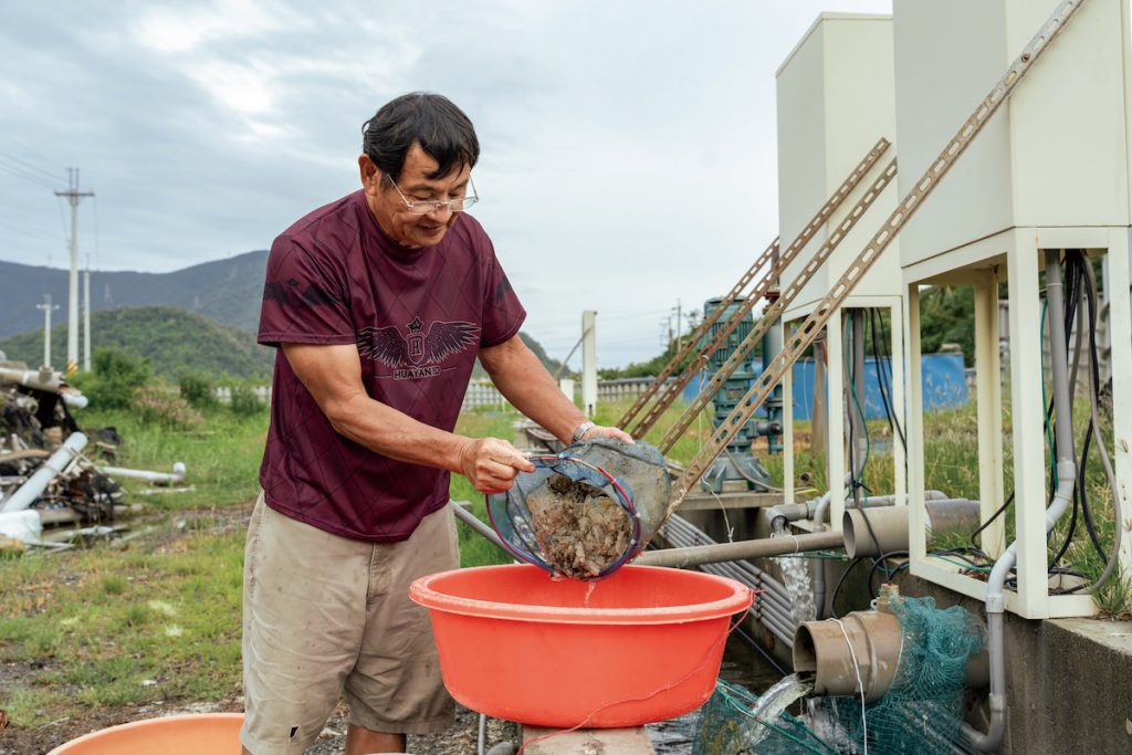 林文士會定期清掃從養殖池內排出的蝦殼,以便讓養殖池內的環境保持乾淨。