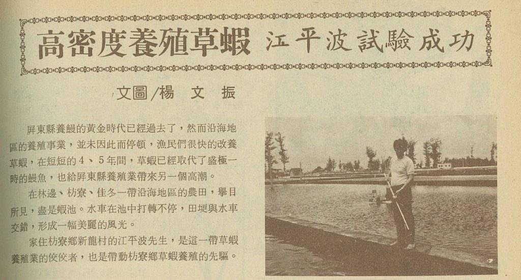 《豐年》過往報導養殖草蝦有成的農民，文中更提及「屏東縣養鰻的黃金時代已經過去了」等語，足見當年養殖戶從其他物種「跳槽」飼養草蝦風氣之盛。（翻攝自豐年第33卷第19期，1983年10月1日出版）