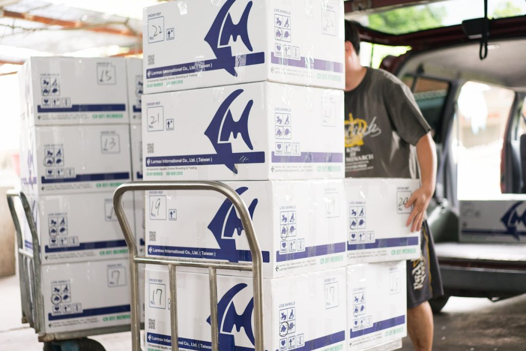 「拉瑪」目標成為觀賞水族產業龍頭。