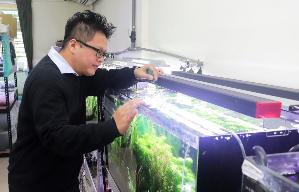 水草至今是蔡俊彥的生財工具,也為他帶來療癒。