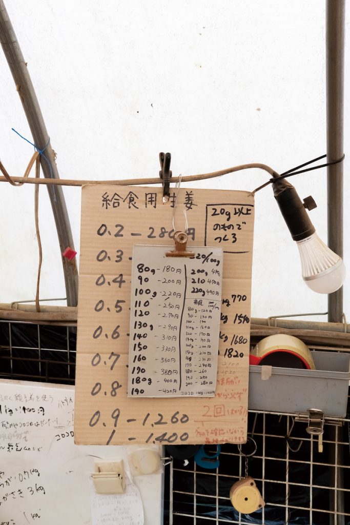 農園種植的生薑仍供應校園營養午餐,園內也掛
著重量與價格的計算表。