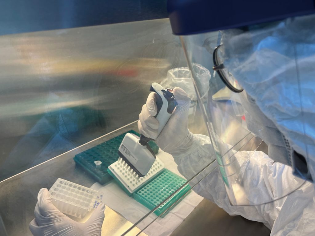 農業部獸醫研究所曾獲多項國際認證,在豬瘟和十足目虹彩病毒診斷領域也獲得WOAH參考實驗室認證。(圖片提供╱獸醫研究所)