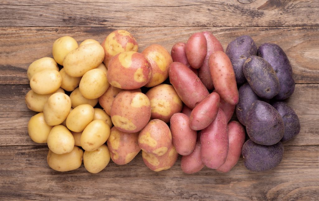 不同產地生產的馬鈴薯,因為結構不同導致口感落差,透過更多元的原料搭配調整加工流程,可望克服差異維持品質。(攝影╱photka on Adobe Stock)