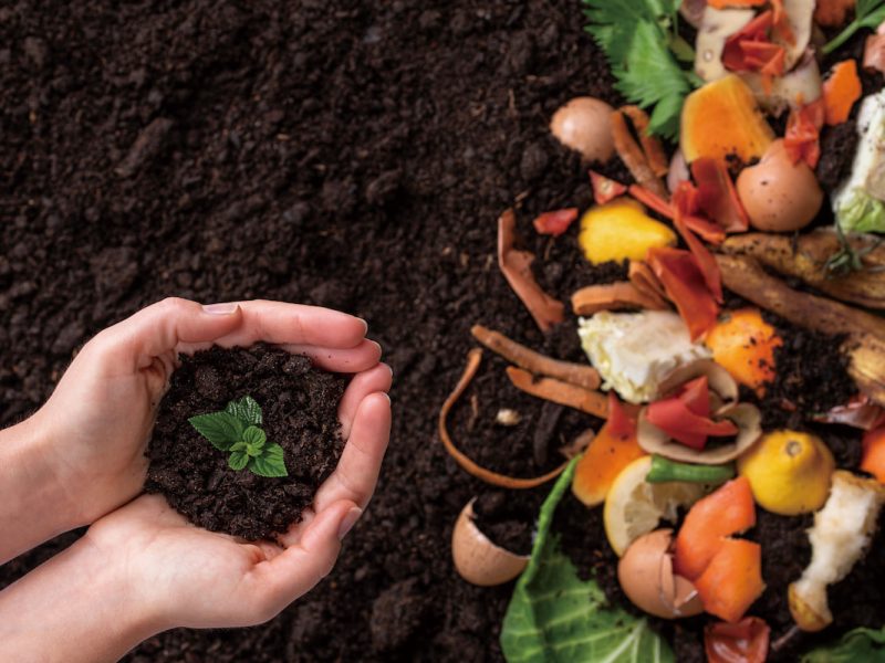 TTT標靶酵素技術轉化有機廢棄物的原理和效用，是邁向淨零永續的目標時可參考的解方。（攝影╱ANTON on Adobe Stock）