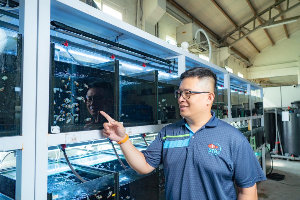 凝視小丑魚時,薛雍霖目光露出些許溫柔。