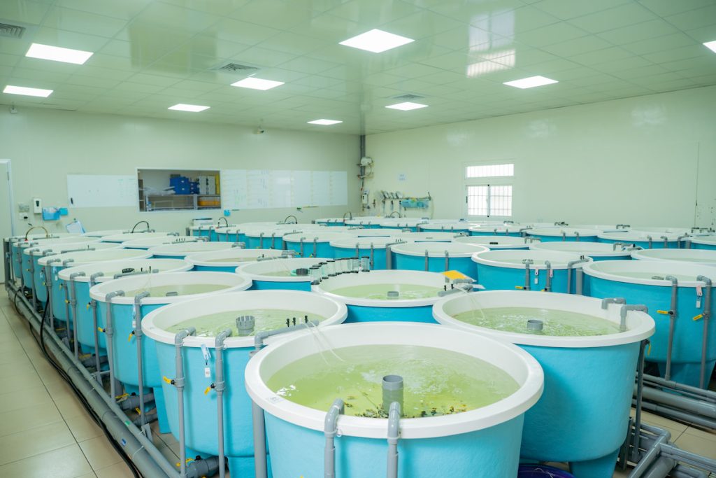 盛天合養殖場域寬敞明亮,環境乾淨確保小丑魚品質穩定。