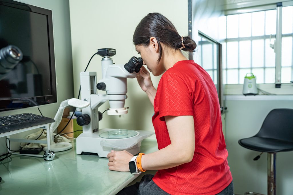 隨時用顯微並確認穩定輪蟲(圓圈)等餌料生物品質。