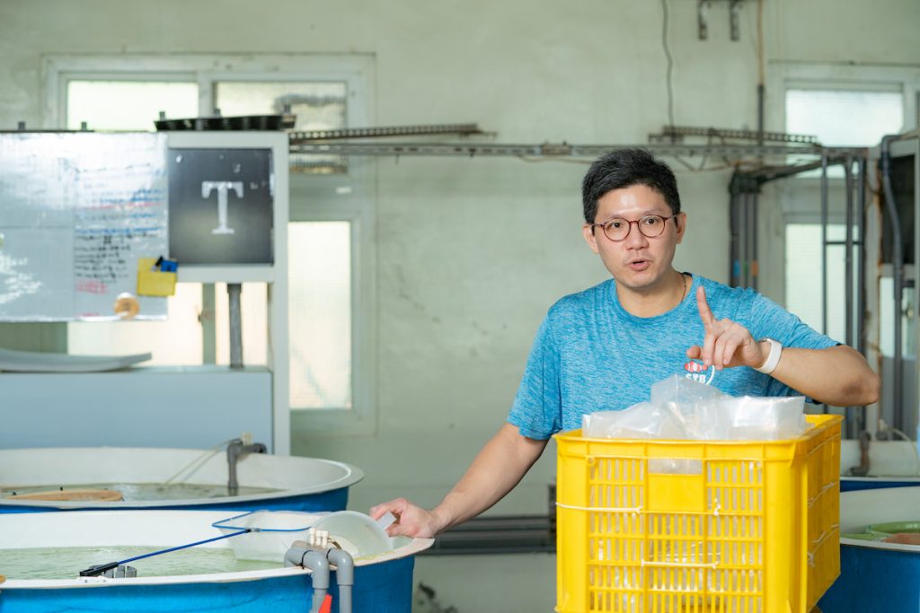 林晃民說明小丑魚出貨,每包適合的最大數量都不同。