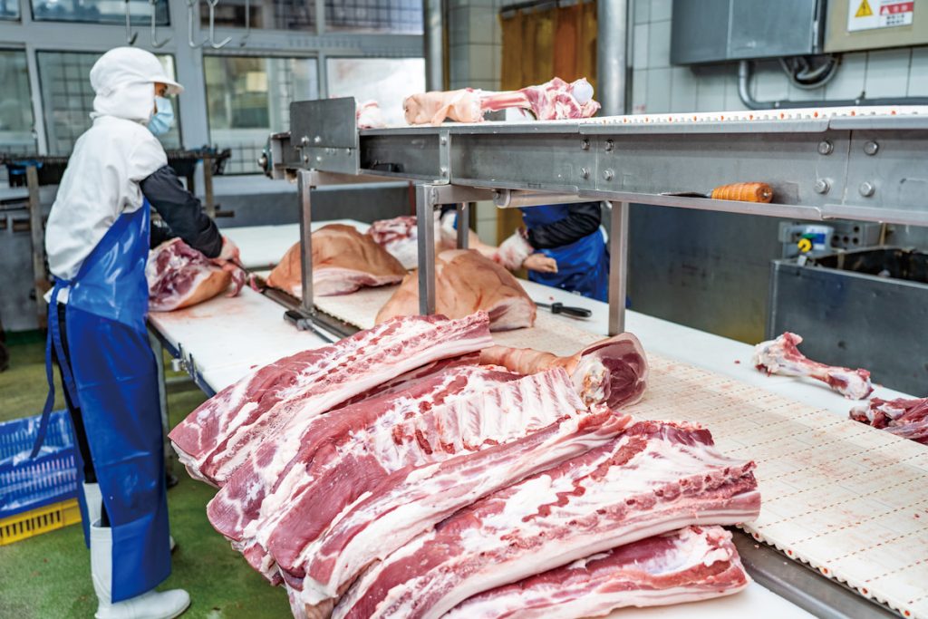 臺灣屠宰場安全意識持續提升,有賴場內各位工作人員都具備正確的觀念。(攝影╱吳尚鴻)