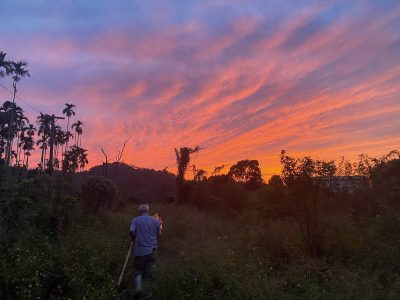 剛開始返鄉是這樣荒煙蔓草，洪崇德看著父親一個人工作的背影倍感心疼。