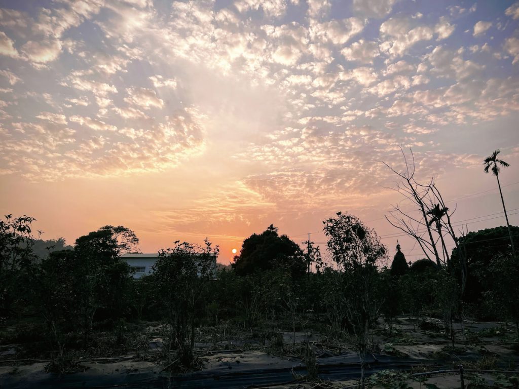 洪崇德每天工作到滿身汗，回頭一看天色就覺得一切都值得了。