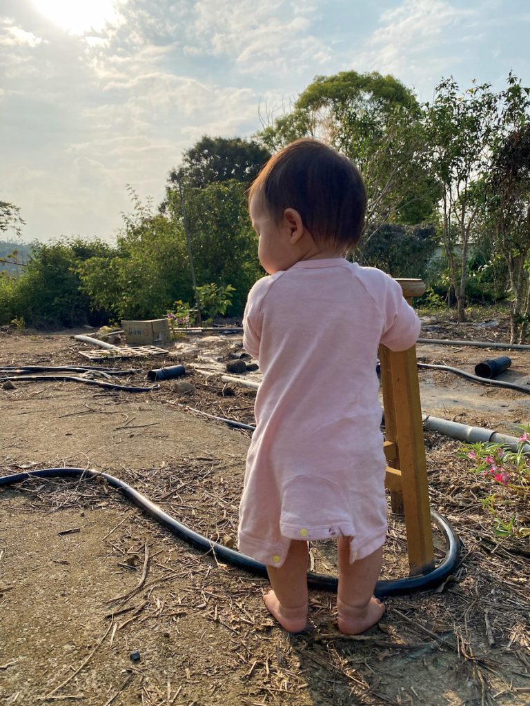 農業的體感，是在一個較緩慢且不破碎的生活模式裡踏實地建立起與土地和家庭的連結。誰的工作都是辛苦的，但洪崇德覺得農業很值得。