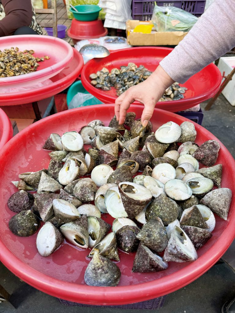 市場裡的鐘螺要價不菲,但每回見到母親總是要拎一袋給我解嘴饞。
