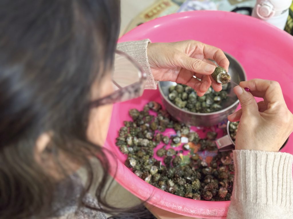 母親耐心地一個個挑出珠螺肉,讓餐桌上的我們能一口嚐盡潮汐的鮮美。