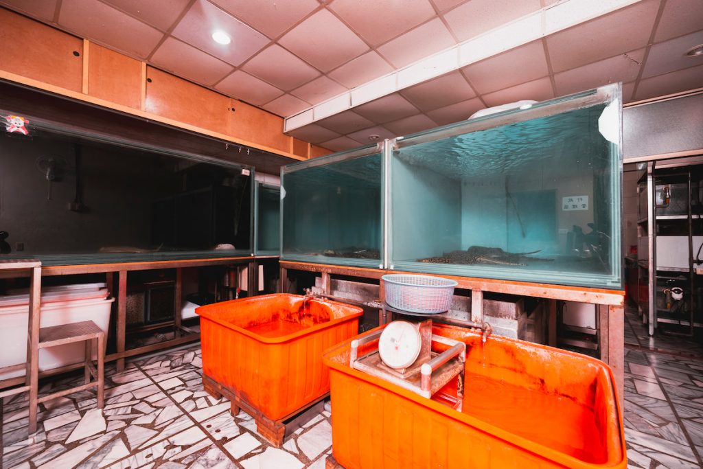 呂承宇建議新手入手時,直接購置五尺缸,加上設備和一條魟魚,預算約二萬多元。