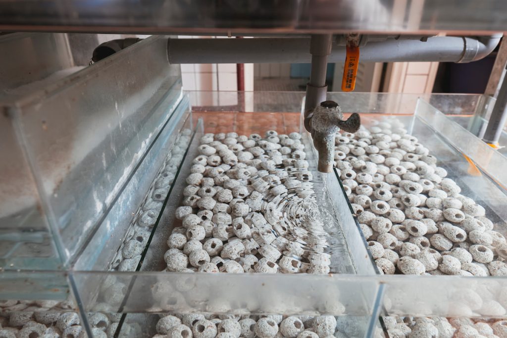 呂承宇的養殖場佔地面積不大,有數百萬的頂級設備,全天候照顧魟魚水質。