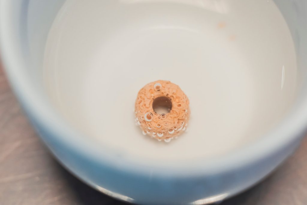 濾材就像是魚缸裡的清潔工,有穩定水質之效。