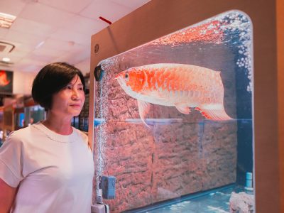 張姿心經營的昭輝龍魚折射臺灣水族產業的興衰軌跡。