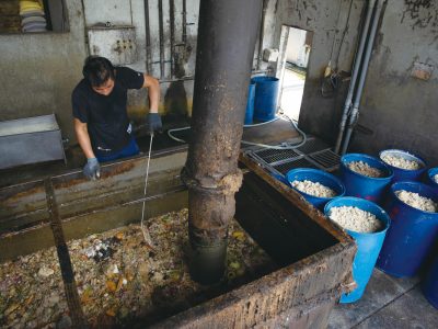 此次臺灣的非洲豬瘟，因臺中梧棲的案例場沒有落實蒸煮規範，而形成防疫破口。（圖中非案例場域，攝影╱謝佩穎）