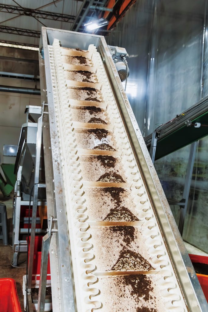 循創雲林場已經幾乎全自動化生產,從餵食、到蟲蟲與重砂分離等每一個步驟,在往規模經濟的路上持續前進。