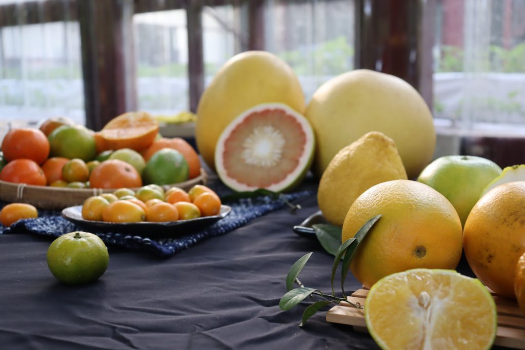 椪柑、柳丁、柚子甚至檸檬、金柑都屬於柑橘家族。