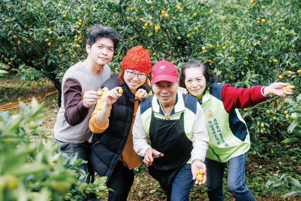 有機金柑相當耗費人力，每到採收季，都是全家總動員。
