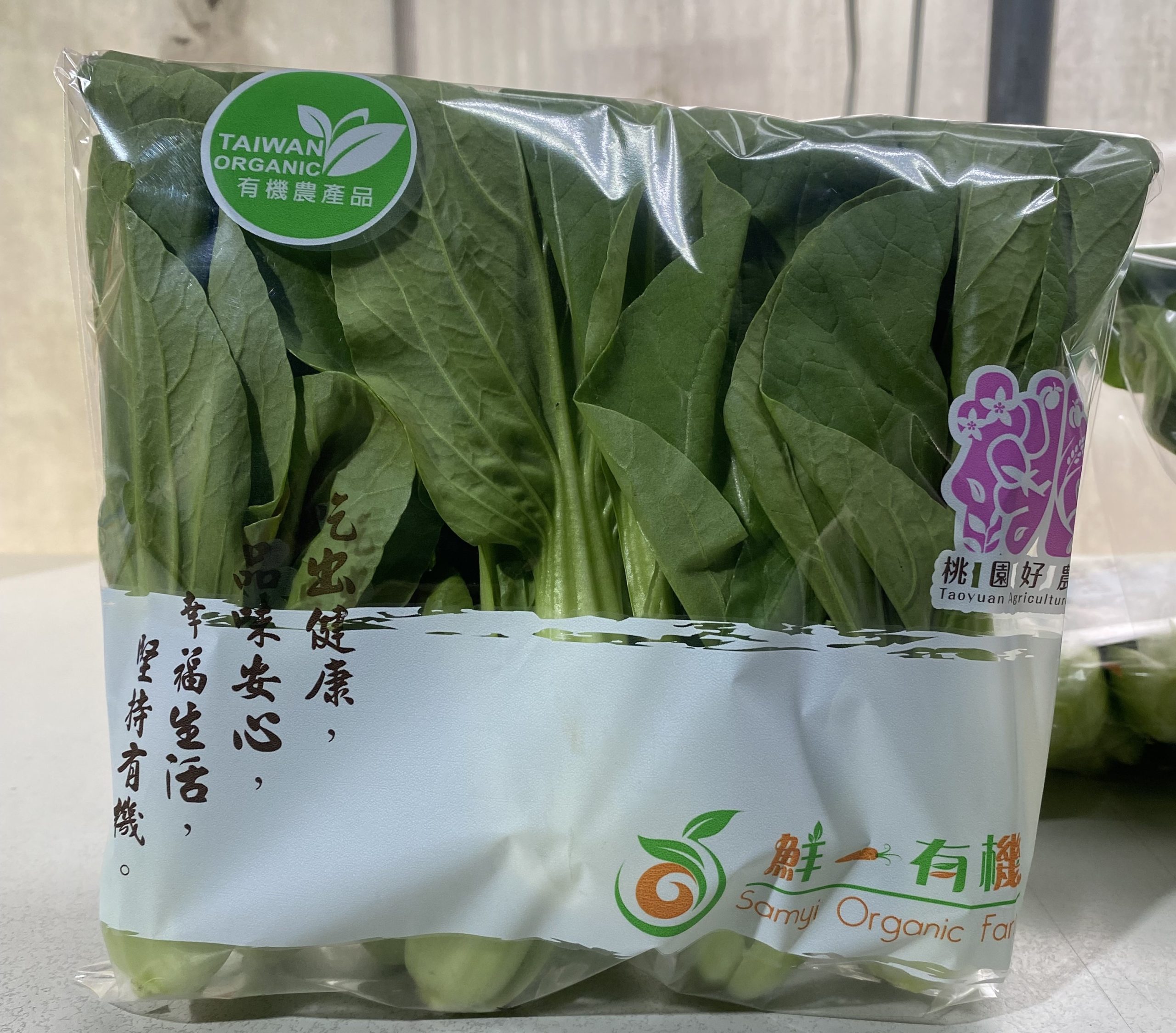 桃園農改場盤查青江菜碳排放 審議節能減碳新策略