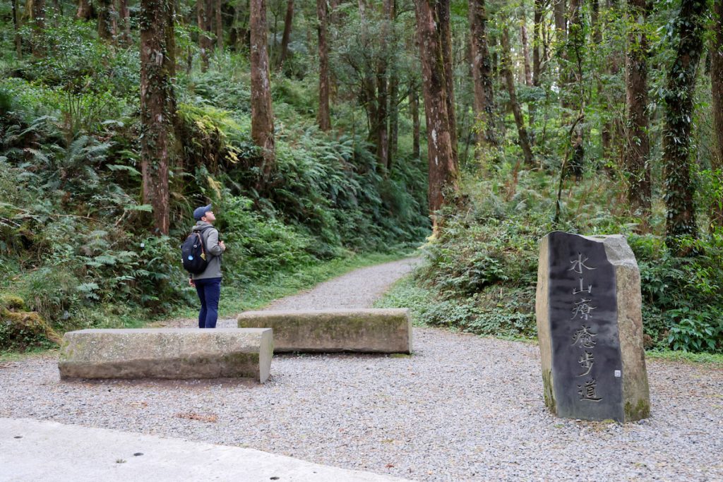 水山療癒步道的入口可銜接祝山林道,體力充足的話,可一路走上祝山車站。