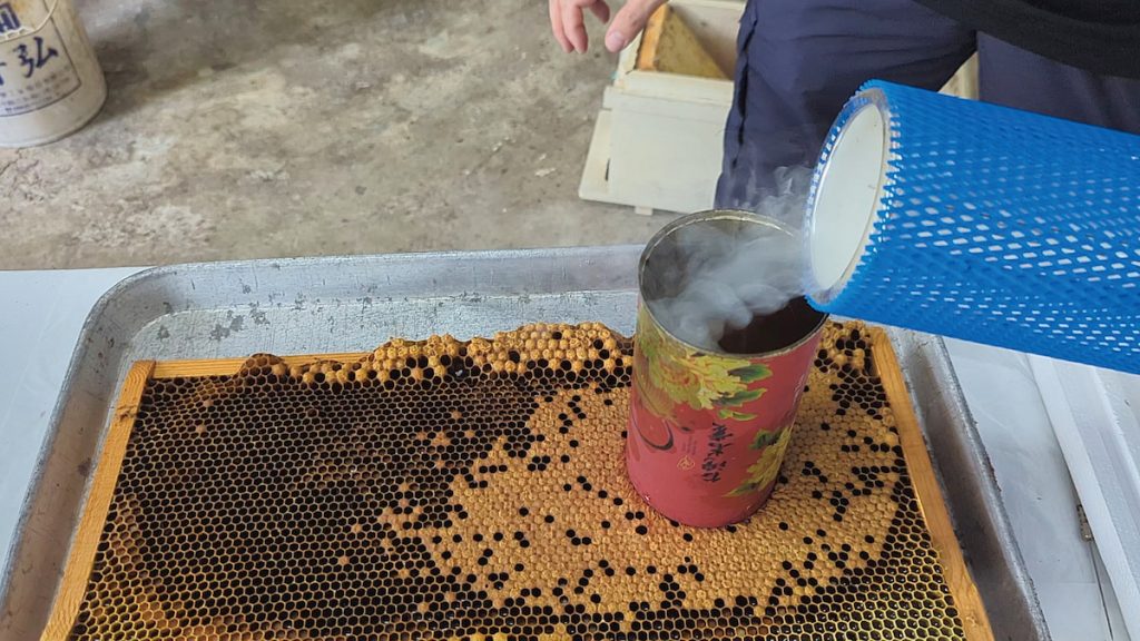 在選定範圍的封蓋蛹倒入液態氮。液態氮可凍死封蓋蛹,藉此評估蜂群清潔死蛹的速率。