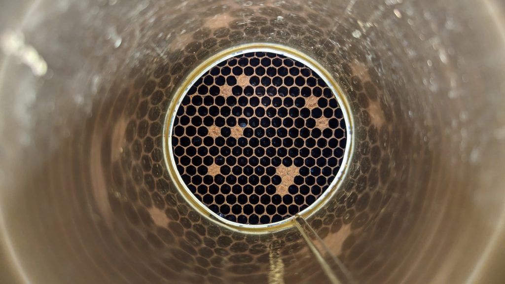 24小時後蜂群清潔死蛹結果。清潔力弱之蜂群(左)剩餘大量死蛹,清潔力強之蜂群(右)死蛹幾乎被清除。