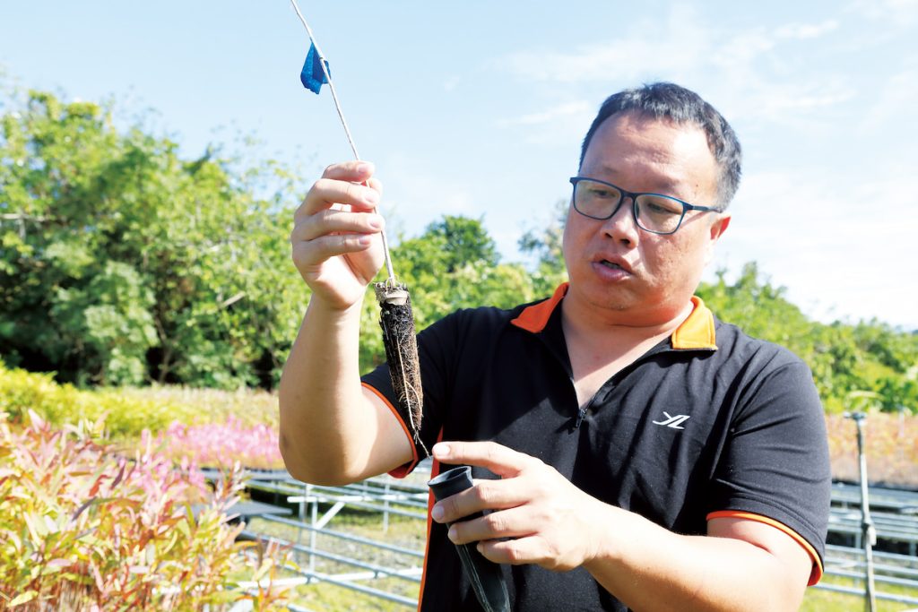 永在林業的余祥瑋說,永在苗圃是以穴管培苗,重量輕也利於樹苗根系生長。