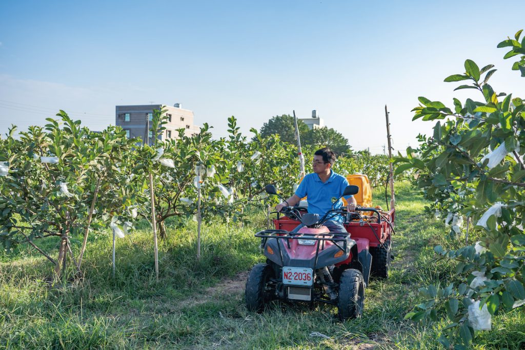 崇愷手工打造的噴霧車,在芭樂園間施作省工又省力。