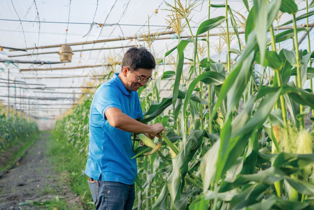 靦腆內向的崇愷對農事有一份專注的堅持,看到好收成也會笑開懷。