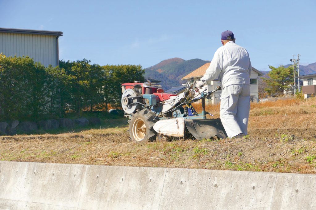 在農耕收穫時,無論人類是否需要,都可能將地
上或地下的所有部分一併移除。(攝影╱ei on
photoac)