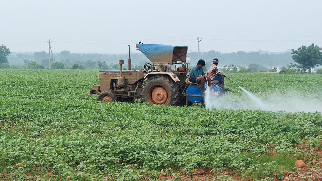 透過微生物體,讓植物基因影響召喚有益微生物的能力,來減少人類對施用化肥與農藥的依賴。(攝影╱PJeganathan on wikimedia CC BY-SA 4.0)