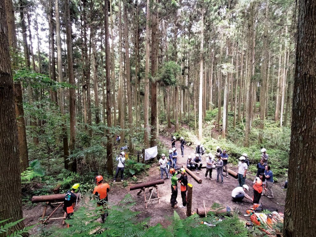在環境教育裡,我們希望能讓民眾在最真實的情境中,走進森林學習。(圖片提供/斯創教育工作群)