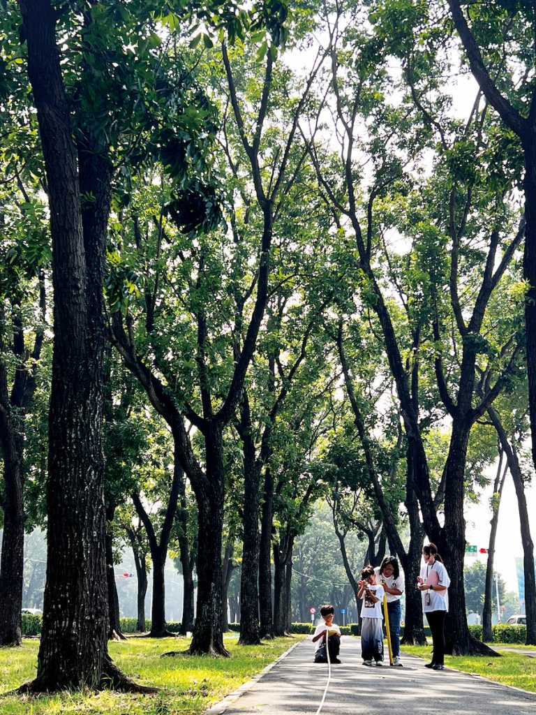 在都市透過教育活動,說明都市林的價值,讓民眾能感受到與森林共存的願景。(圖片提供/斯創教育工作群)