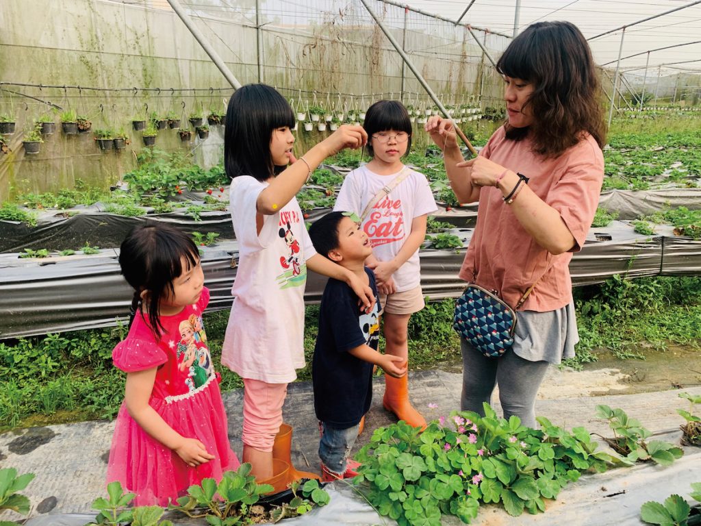 透過市集銷售吸引顧客首次購買農產品,結合互動社群,讓顧客即時獲取農場資訊,並於草莓產季回訪參與觀光採果及手作套裝行程,提升收益並促進消費循環。