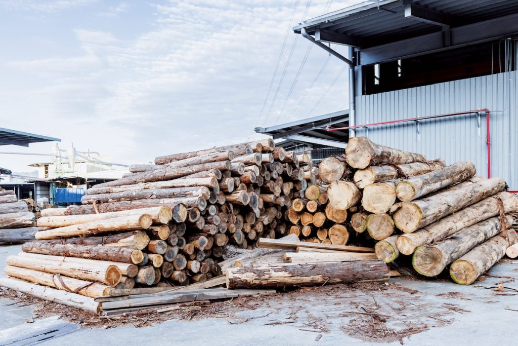 正昌廠內的木材,有三分之一來自自有林場。