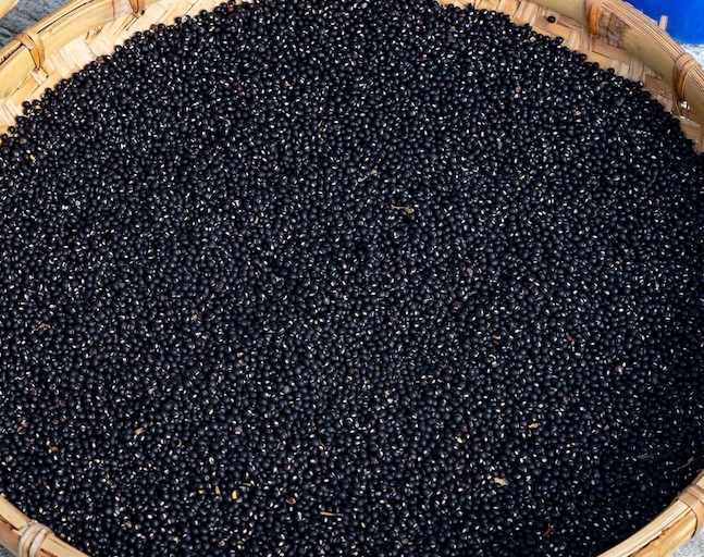 樹豆能保健下腹部生殖泌尿系統。