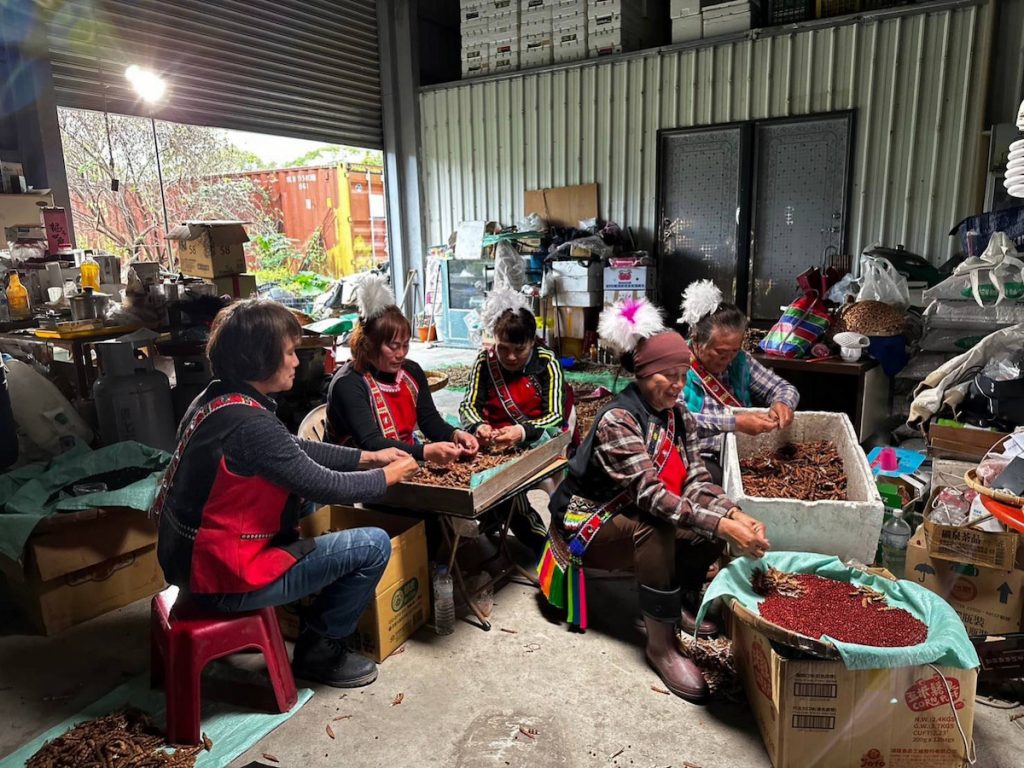 農忙整天後,部落婦女晚間還會一起剝豆。