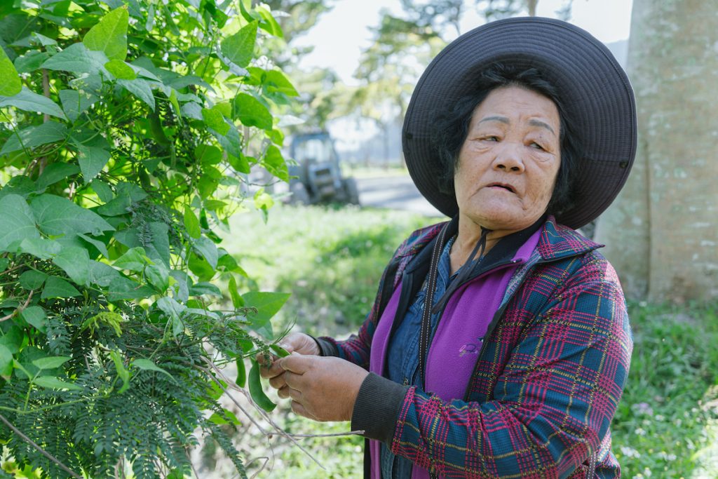 竹菊迪娜介紹她的菜園,和家傳的種豆心法。