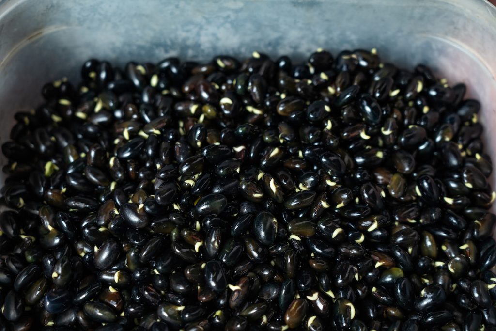 發芽黑豆