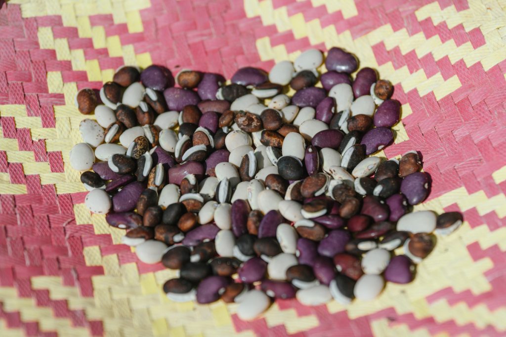 竹菊迪娜在藤盤上攤開她的一部分種子收藏:她家中共收有接近三十種豆豆。