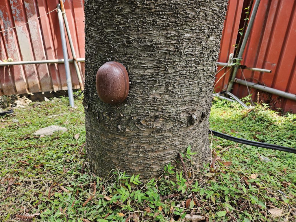 樹木傾斜儀裝置於樹幹基部，隨時透過網路傳送記錄樹木傾斜變化。