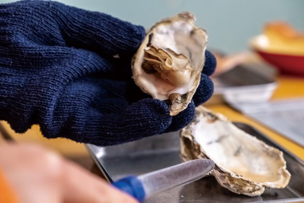 德榮丸今年的牡蠣肥美多汁，是山上養分與恩惠滋養的結果。